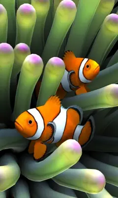 Sim Aquarium android App screenshot 0