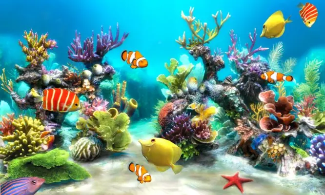 Sim Aquarium android App screenshot 1