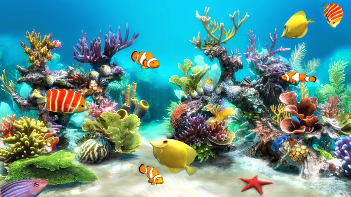 Sim Aquarium android App screenshot 3